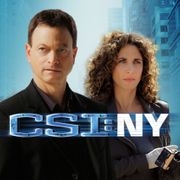 CSI: Kryminalne zagadki Nowego Jorku